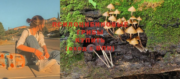 тгк Балахна