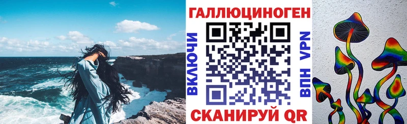Псилоцибиновые грибы Psilocybe  закладки  Гдов 
